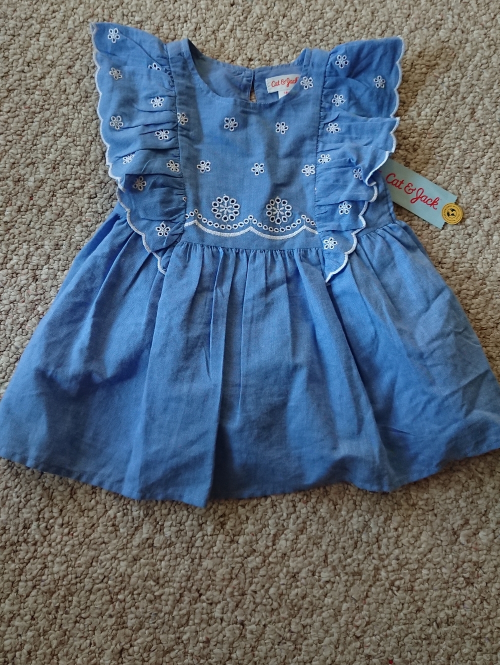 Cat & Jack Blue Eyelet Flutter Sleeve Dress